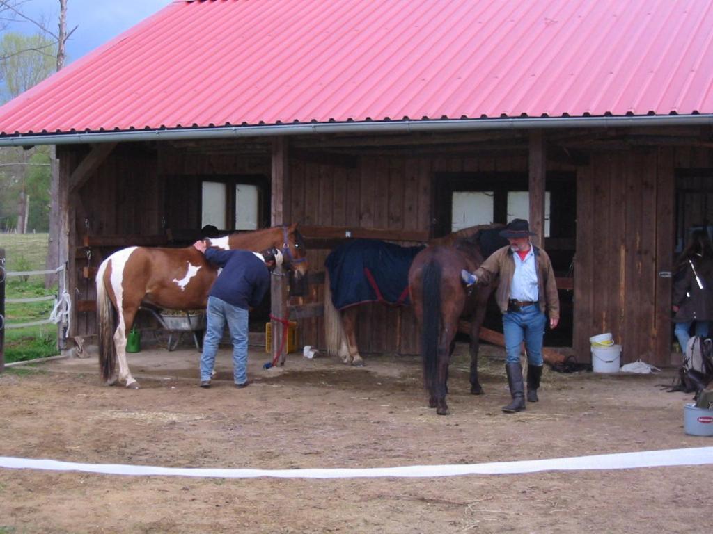 Gasthof Bogenrieder Waidhofen Luaran gambar