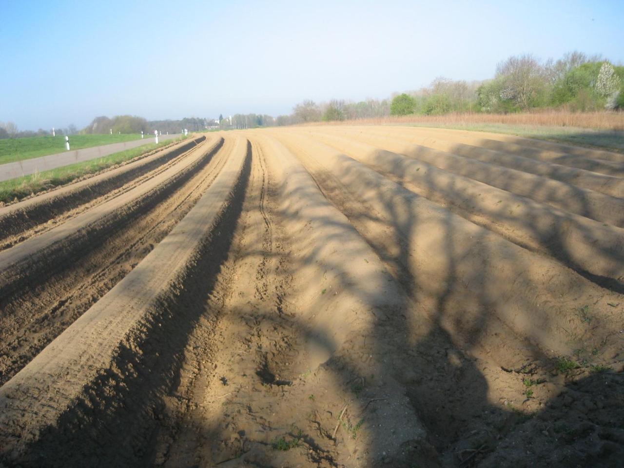 Gasthof Bogenrieder Waidhofen Luaran gambar